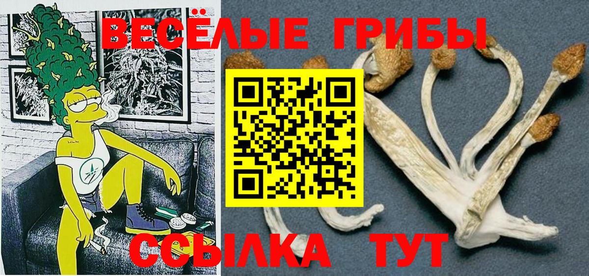 Менделеевск  закладка  Вход с VPN  Псилоцибиновые грибы MAGIC MUSHROOMS 